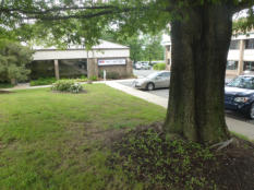 Northern VA Office in Reston VA